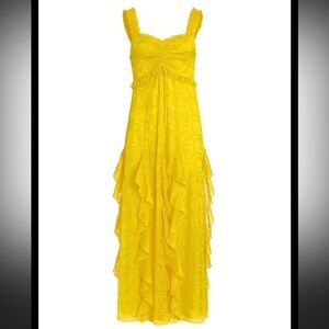 ALICE + OLIVIA Empire Waist Jacquard Godet Dress